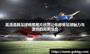 花样滑冰——全国锦标赛：冰舞韵律舞赛况(4)